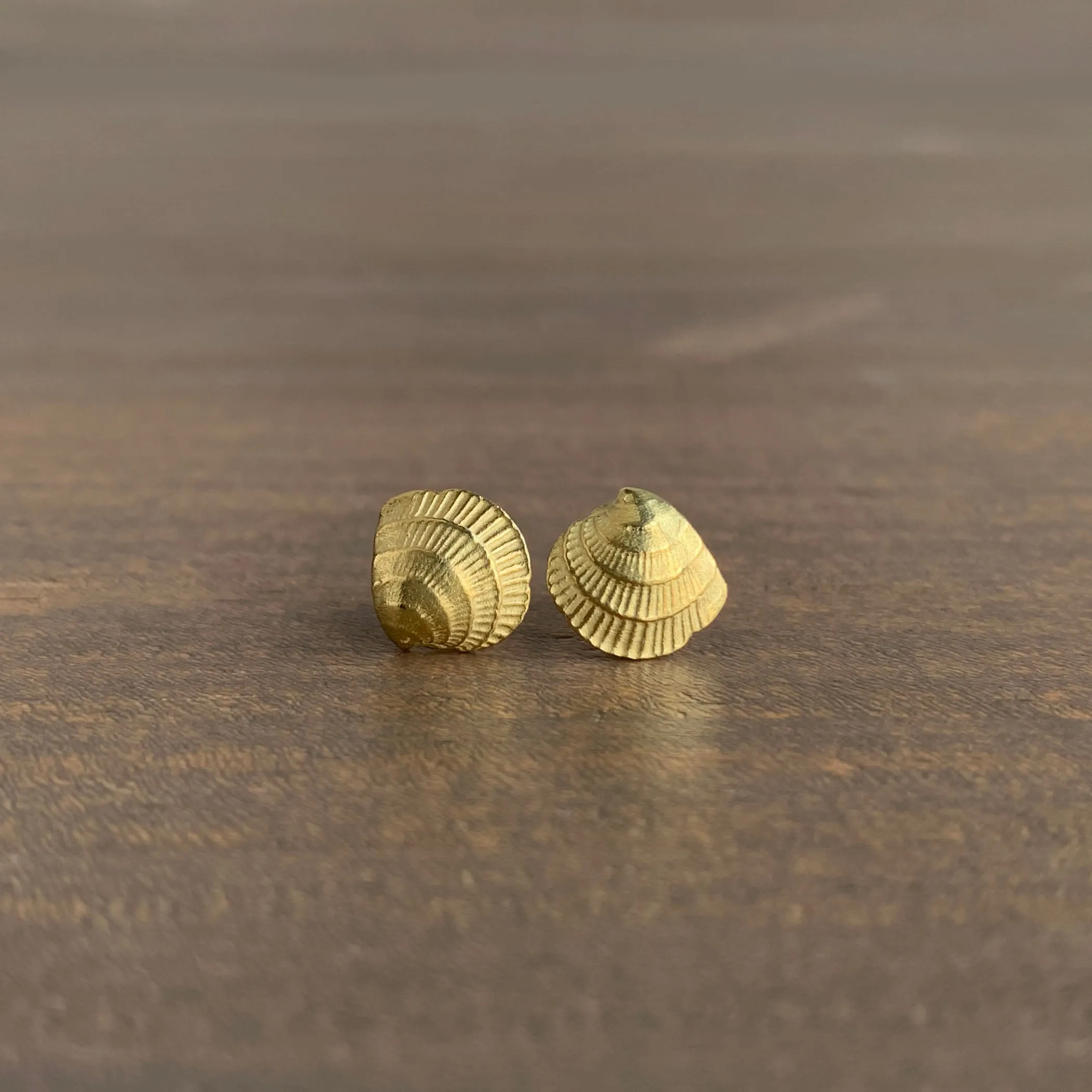 Cross Bar Venus Shell Stud Earrings