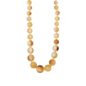 Horn Color Bead Necklace