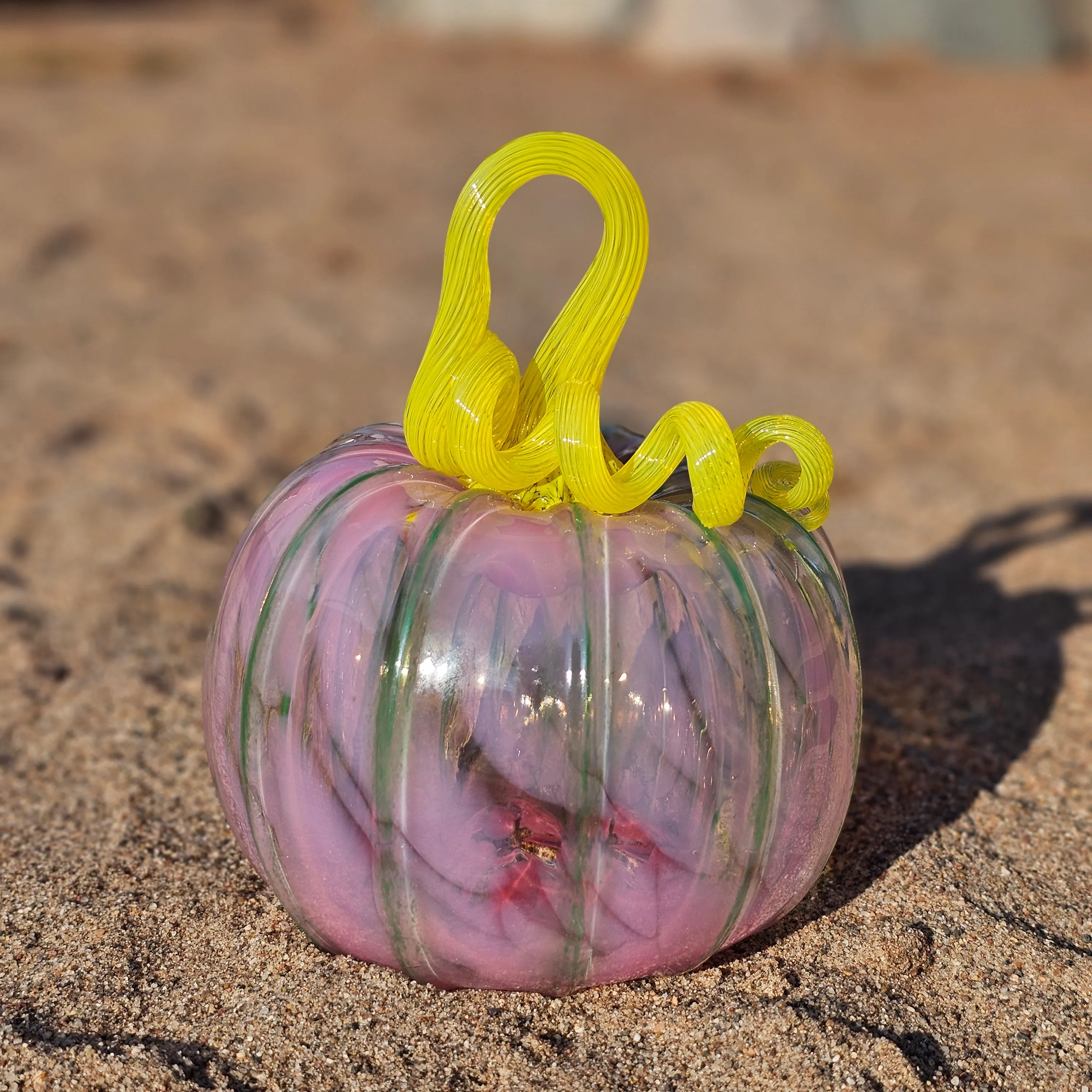 Large Blown Pumpkin