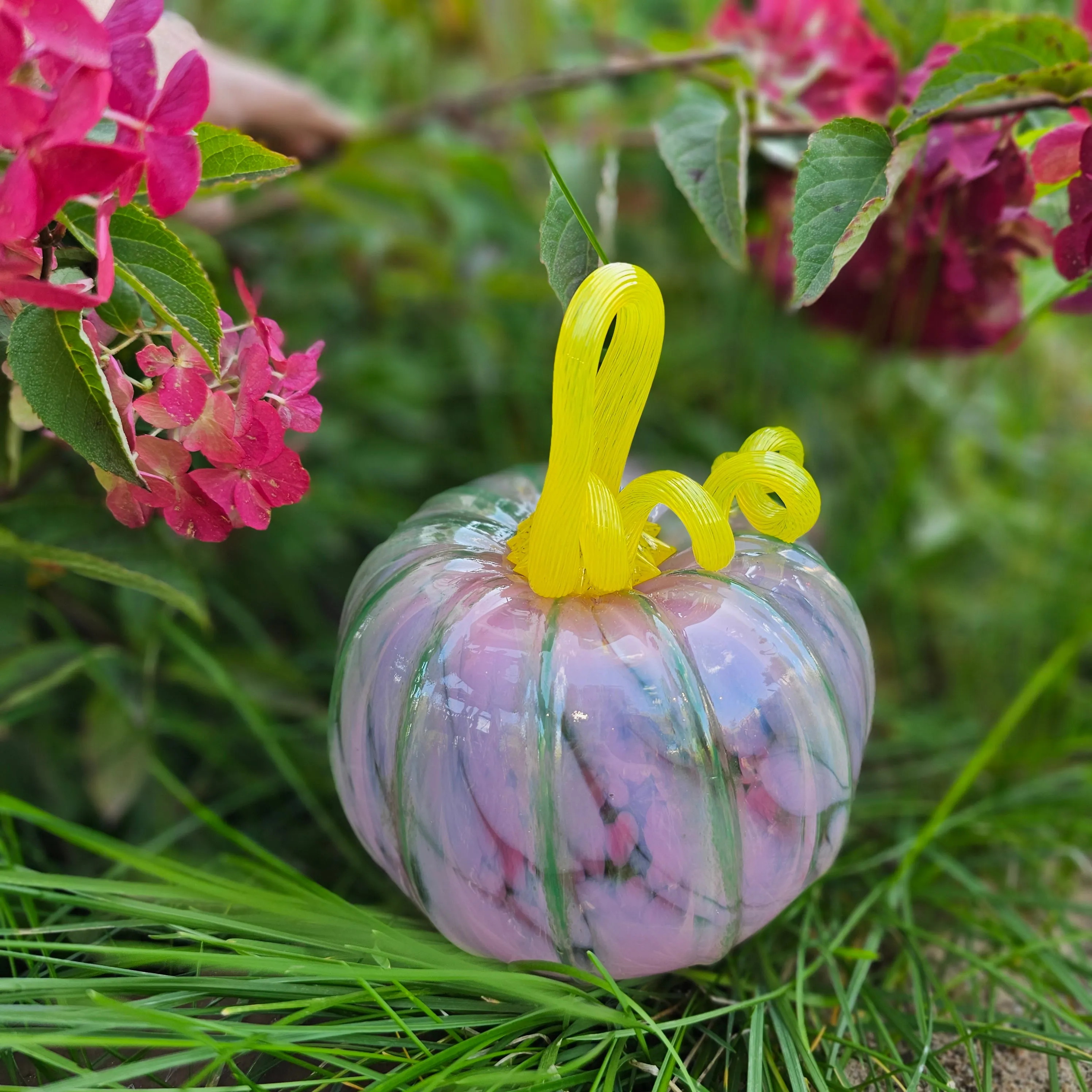 Large Blown Pumpkin