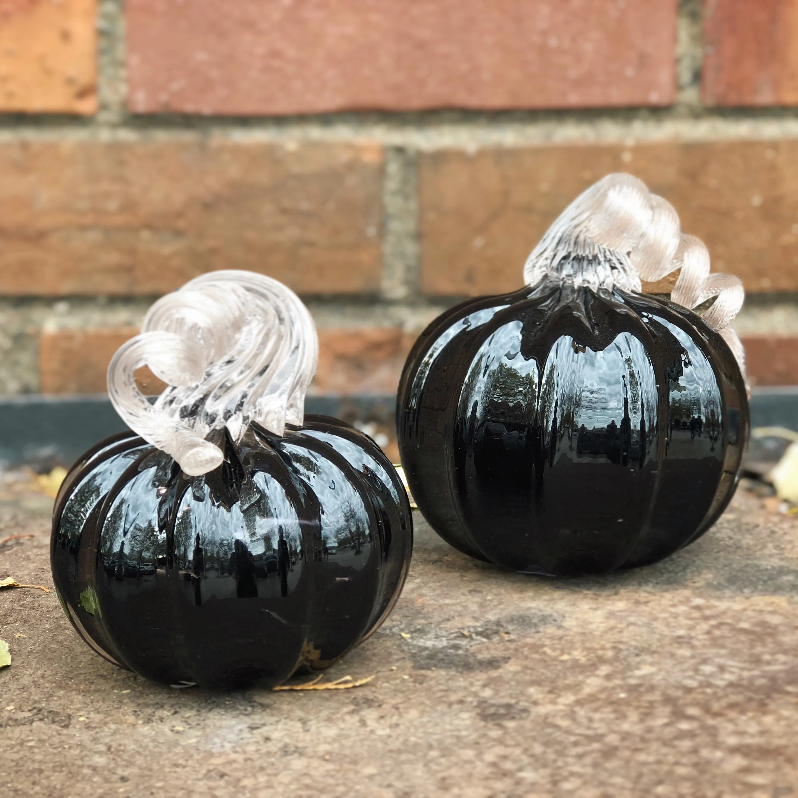 Large Blown Pumpkin