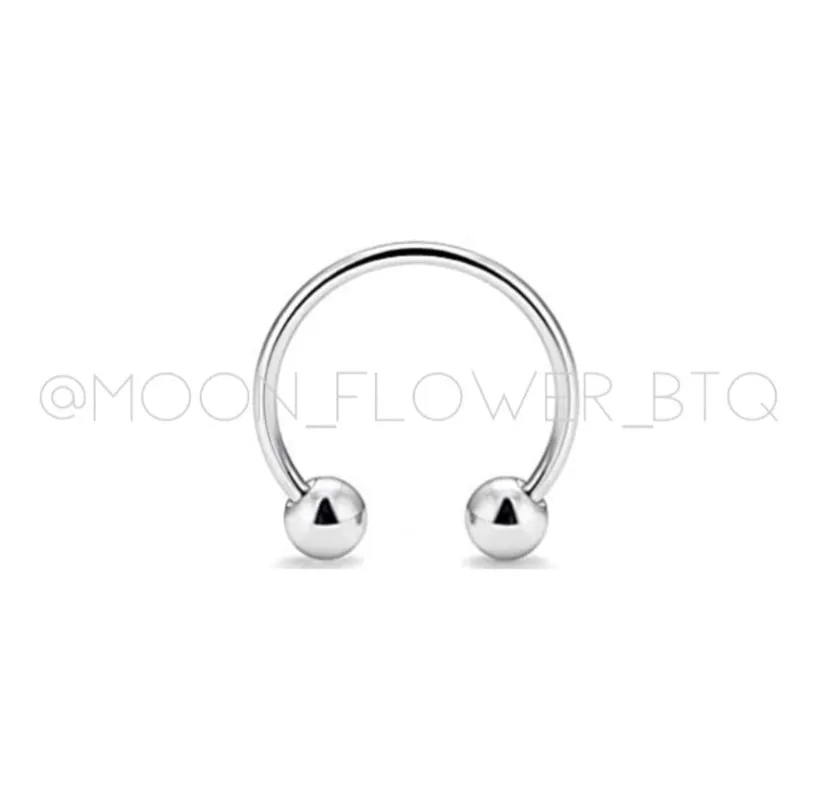 Silver Horseshoe Barbell