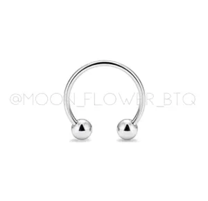 Silver Horseshoe Barbell