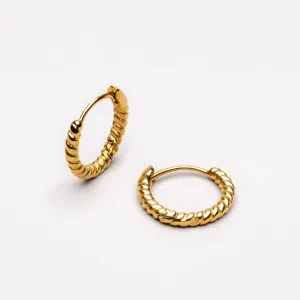 Twisted Hoops Earrings